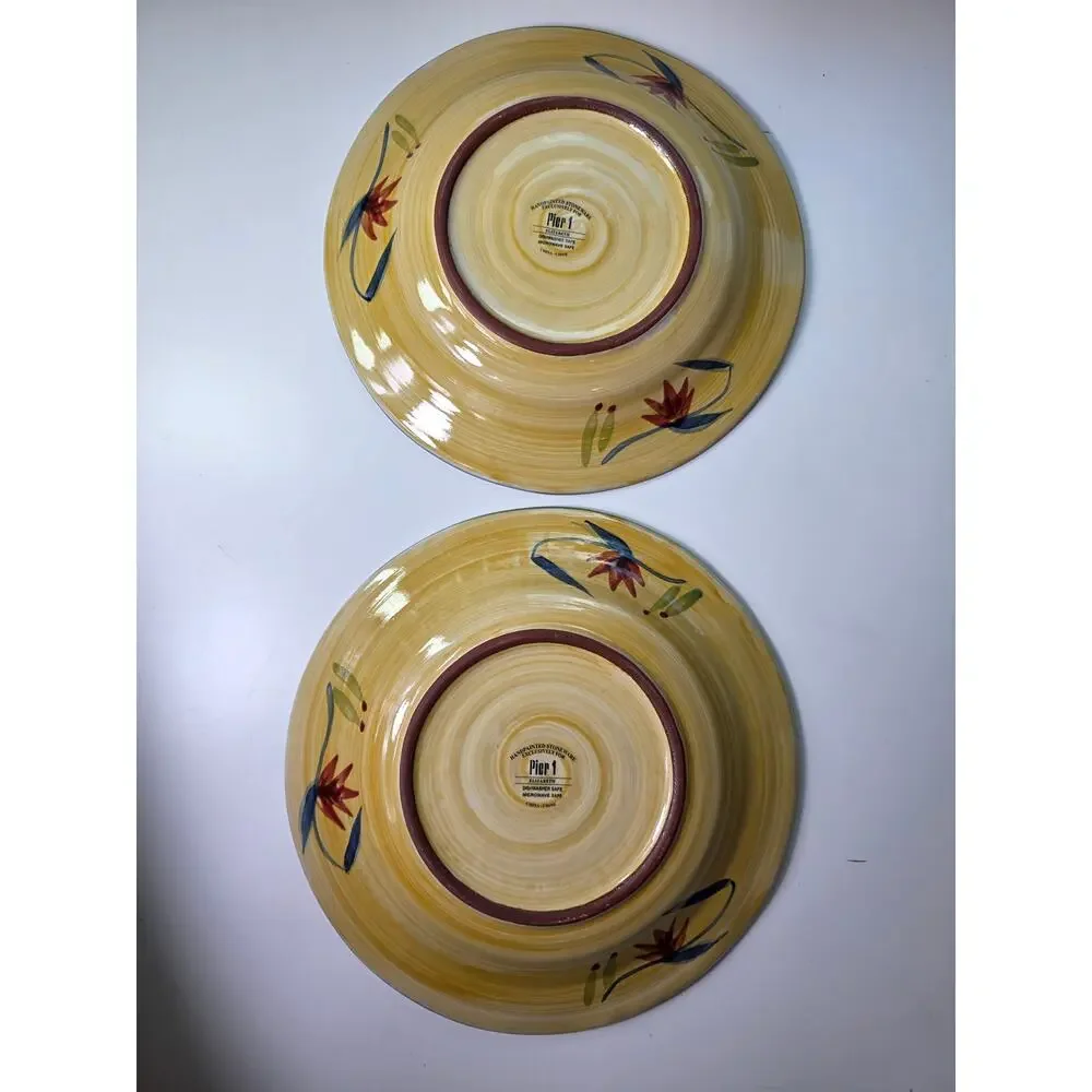 PIER 1 Elizabeth Hand Painted Floral Stoneware Dinner Plates 11.5” Set of 2